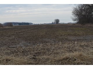Property photo 25 - 173 +/- Acres Offered in 3 Tracts - Ohio Farmland